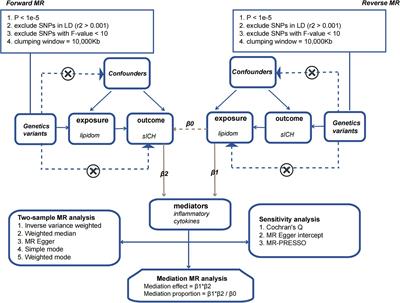 Role of inflammatory biomarkers in mediating the effect of lipids on spontaneous intracerebral hemorrhage: a two-step, two-sample Mendelian randomization study